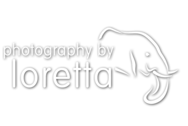 Photography by Loretta