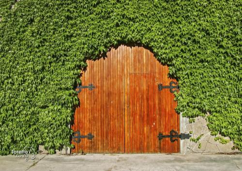 Cellar Door
